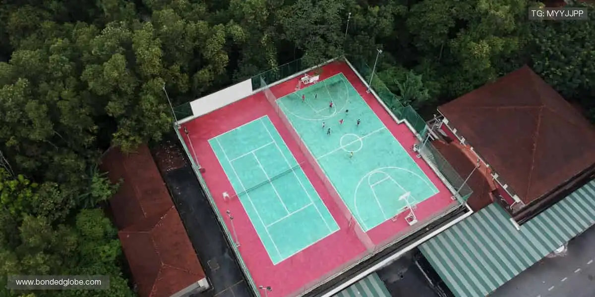 🎯 球星同款，即刻拥有！体育周边商城，解锁你的专属热爱！